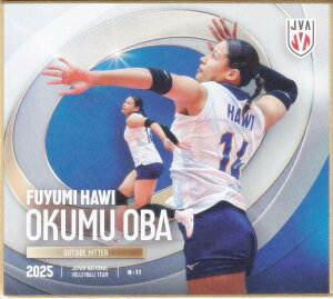 yN-11 IN~nEB (m[}) z o[{[q{\2025 g[fBOminiF