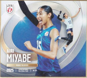 yN-12 { (m[}) z o[{[q{\2025 g[fBOminiF