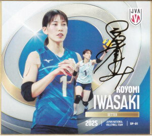 y[TC] SP-01 肱 (XyV) z o[{[q{\2025 g[fBOminiF