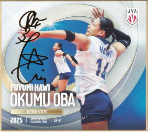 y[TC] SP-11 IN~nEB (XyV) z o[{[q{\2025 g[fBOminiF