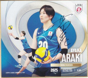 y[29/70 MTC] R-02 r؍ʉ (A) z o[{[q{\2025 g[fBOminiF