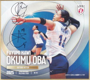 y[35/70 MTC] R-11 IN~nEB (A) z o[{[q{\2025 g[fBOminiF