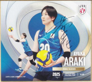 y[36/70 MTC] R-02 r؍ʉ (A) z o[{[q{\2025 g[fBOminiF