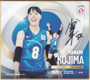 y[41/70 MTC] R-06 ؔ (A) z o[{[q{\2025 g[fBOminiF