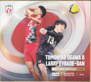 yN-16  q偕Gof_ [ (m[}) z o[{[jq{\2025 g[fBOminiF