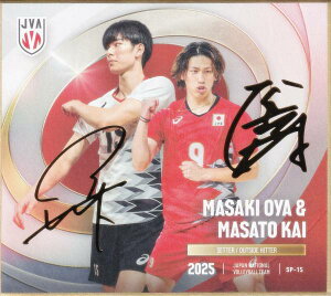 y[TC] SP-15  ^b Dl (XyV) z o[{[jq{\2025 g[fBOminiF