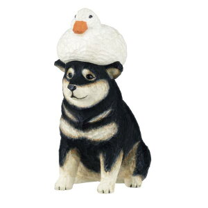 yČiŁjz ˂̖ؒ Aqƌ