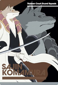 �yN15.�������w (�m�[�}���J�[�h) �z BLEACH �E�G�n�[�X
