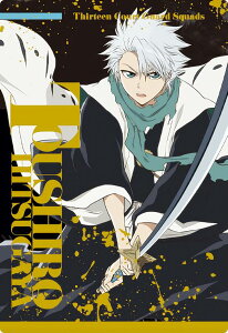 �y[�`�����낵�������d�l] R31.���ԒJ�~���Y (���A�J�[�h) �z BLEACH �E�G�n�[�X