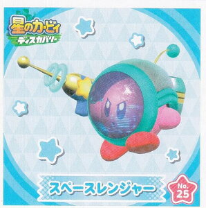 yNo.25 Xy[XW[z ̃J[rB fBXJo[ V[RNV