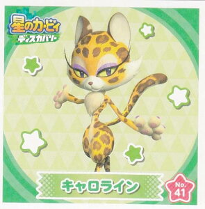 yNo.41 LCz ̃J[rB fBXJo[ V[RNV