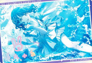 y22.ۏ (AChJ[h) z ACh}X^[ VCj[J[Y EGn[X2