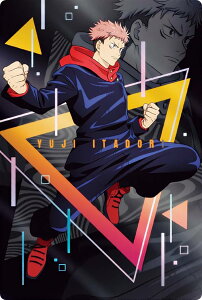 y4-01 ՏIm (LN^[J[hBR)z pEGn[X4