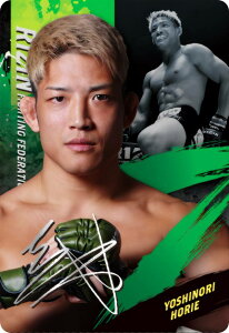 yNo.30 x]\ (NJ[h) z RIZINEGn[X'25