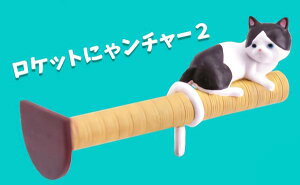 yPbgɂდ`[2z COfUCi[V[Y KE!XɂCp[2