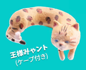 yl݂დg(P[vt)z COfUCi[V[Y KE!XɂCp[2