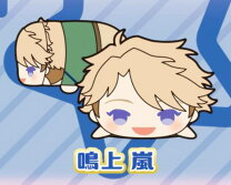 楽天市場】あんさんぶるスターズ! ぬいぐるみ 鳴上嵐の通販