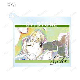 【スイカ】 Dr.STONE トレーディングAni-Artアクリルキーホルダー