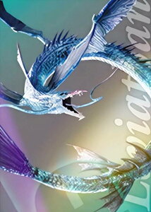 y1-039 @CAT/CN (v~AJ[h) z t@Cit@^W[ 7 Ajo[T[A[g~[WA fW^J[hvX