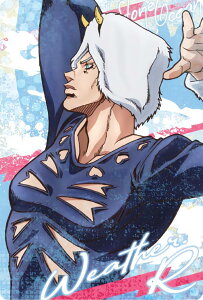 yNo.05 EFU[E|[g (LN^[J[h) z WW̊Ȗ` Xg[I[V EGn[X3