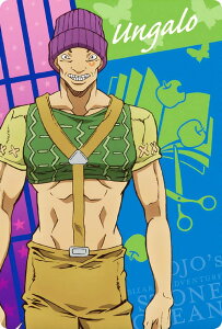 yNo.08 EK (LN^[J[h) z WW̊Ȗ` Xg[I[V EGn[X3