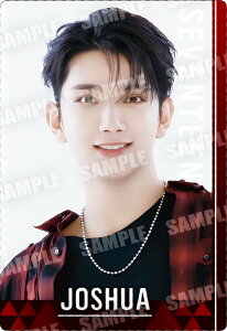 �yN-03 �W���V���A (�m�[�}��) �z SVT�c�C���E�G�n�[�X From PLEDIS ENTERTAINMENT SEVENTEEN