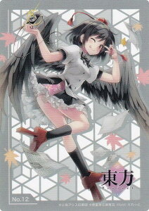 yNo.12 ˖ەz g[fBOJ[h RNVNA Project