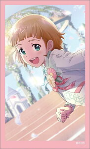 y18.P삩̂zACh}X^[ SideM LKRNV BOX4 XebJ[̂