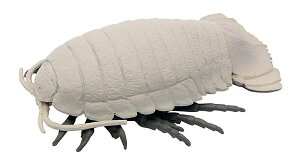 �y�_�C�I�E�O�\�N���V�z�����ׂ鐶���t�B�M���A�V���[�Y �[�C�̂Ђ݂� �C�E��E���E�E