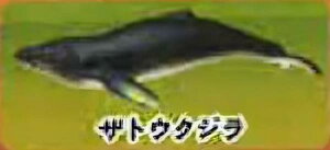 yUgENWzCmW ~jtBMARNV `tropical version`