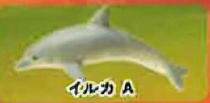 yCJAzCmW ~jtBMARNV `tropical version`