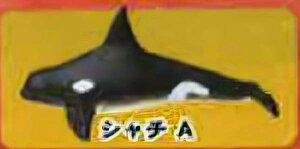 yV`AzCmW ~jtBMARNV `tropical version`