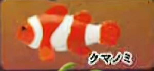 yN}m~zCmW ~jtBMARNV `tropical version`