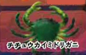 y``EJC~hKjzCmW ~jtBMARNV `tropical version`