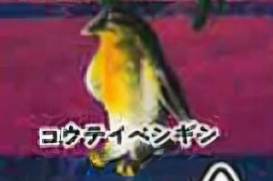 yREeCyMzCmW ~jtBMARNV `tropical version`