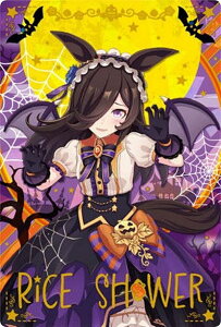 y[zOH] W6-01 CXV[ (LN^[J[h) zE} veB[_[r[ cCEGn[X 6R