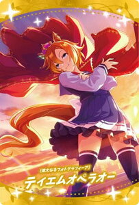 yW6-17 eCGIyI[ (T|[gJ[hSR) zE} veB[_[r[ cCEGn[X 6R