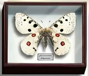 yA|EXoV`EzTCGXeNjJ[ hCc}OlbgRNV3