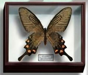 yWREAQnzTCGXeNjJ[ hCc}OlbgRNV3