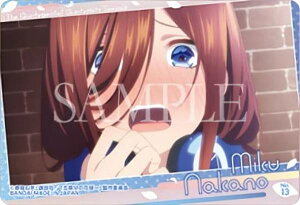 yNo.13 Ozܓ̉ԉŁ NAJ[hRNV