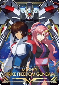 y1-032 }CeB[XgCNt[_K_ (URJ[h) z@mK_SEED FREEDOM EGn[X