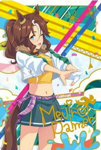 y[zOH] W7-05 Wp[}[ (LN^[J[h) E} veB[_[r[ cCEGn[X 7R