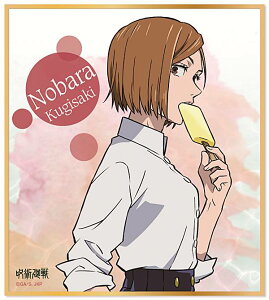 yBKNzp ~jFRNV ACXV[Y `낵