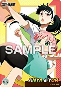 yNo.13 A[jzSPY×FAMILY NAJ[hRNVK