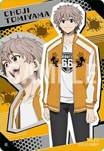 �yNo.22 �e���R���q�zWIND BREAKER �N���A�r�W���A���J�[�h