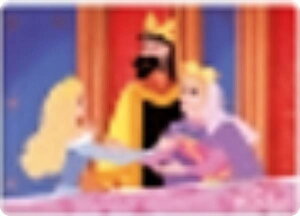 yNo.017 X̔z fBYj[vZX g[fBORNV