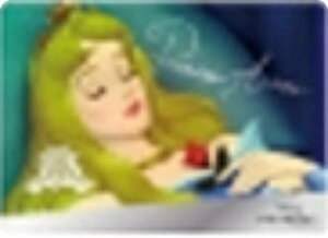 y[H] SP.003 X̔zfBYj[vZX g[fBORNV