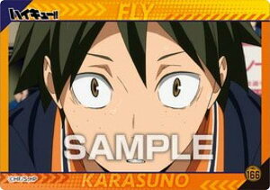 yNo.166 RznCL[!! NAJ[hRNVK4 S~̂ď̌ J[ĥ