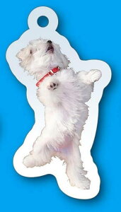 yWvE{fBA^bNzCkVSlR ANL[`F[RNV