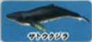 yUgENWzCmW ~jtBMARNV Diamond Ocean